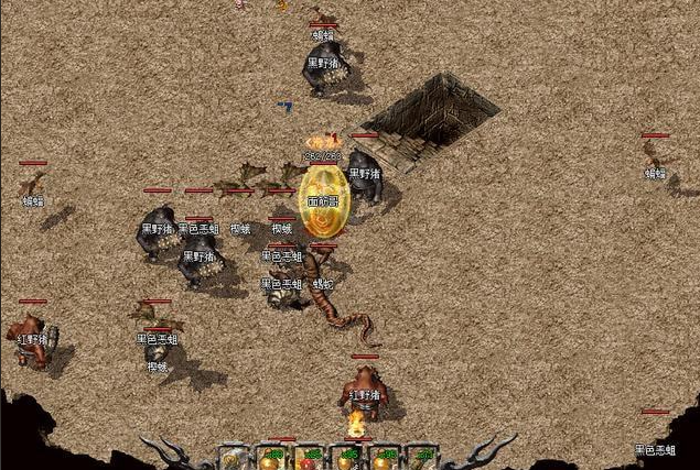 作为老玩家新手优先选法师或道士冰雪环境里清怪效率高